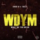 what do you mean WDYM feat Trell Single