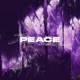 PEACE feat ZappBeats Single