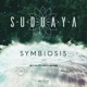 Symbiosis Single