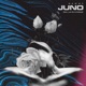 Juno feat Lan do Kafayé Single