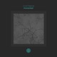 Humanized Single