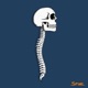 Spine Single