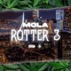 Rotter 3 Single
