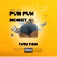 Pum Pum Money feat Yung Fido Go Go Zess Single