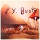 Flying Pyramids Single