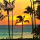Summer Luv Single