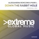Down the Rabbit Hole Single