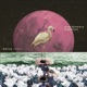 Long Distance Migration