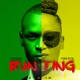 Run Ting feat Fena Gitu Single