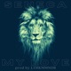 My Love Single