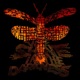 On Fire feat Caro Rock Single