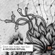 A Vicious Ritual Single