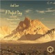 A Perfect Day Single