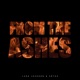 From the Ashes Single