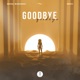 Goodbye Single