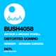Distorted Domino Single
