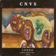 Cerro Son Remix Single