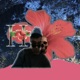 Hibiscus Single