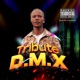 TRIBUTE TO D M X Single
