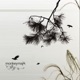 Fly EP