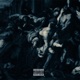 Birds in the City Single