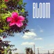 Bloom feat Gallo Single