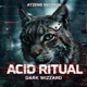 Acid Ritual Single