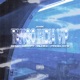 Tango India VIP A14k feat Crypy BLOKE Single