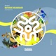 Batuque Desandado Single
