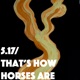 5 17 That s How Horses Are Single