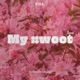 My Sweet Love Single