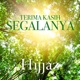 Terima Kasih Segalanya Single