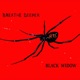 Black Widow feat James Timms Music Single