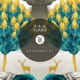 Shadowplay Single