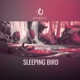Sleeping Bird Single