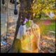 heaven sent feat Astral Deshawn Single