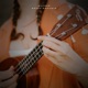 Bossa Dreamin Single
