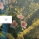 June Single