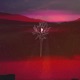 All Night Single