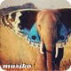 The House of Butterfly Single