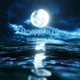 Disappeared feat Yung Pleit Single
