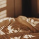 Cozy Single