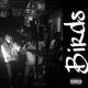 Birds feat Matt Travers Single