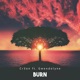 Burn feat Gwendolyne Single