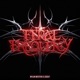 FERAL FREQUENCY Single