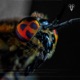 Instrumentals Volume 3 Instrumental
