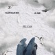 Pelican feat Lil Fame Single