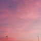 Sei la mia Luna Single