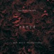 PAPER feat Ben Music Single