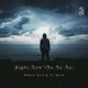 Right Now Na Na Na Single
